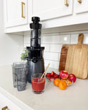 EASY CLEAN SLOW JUICER